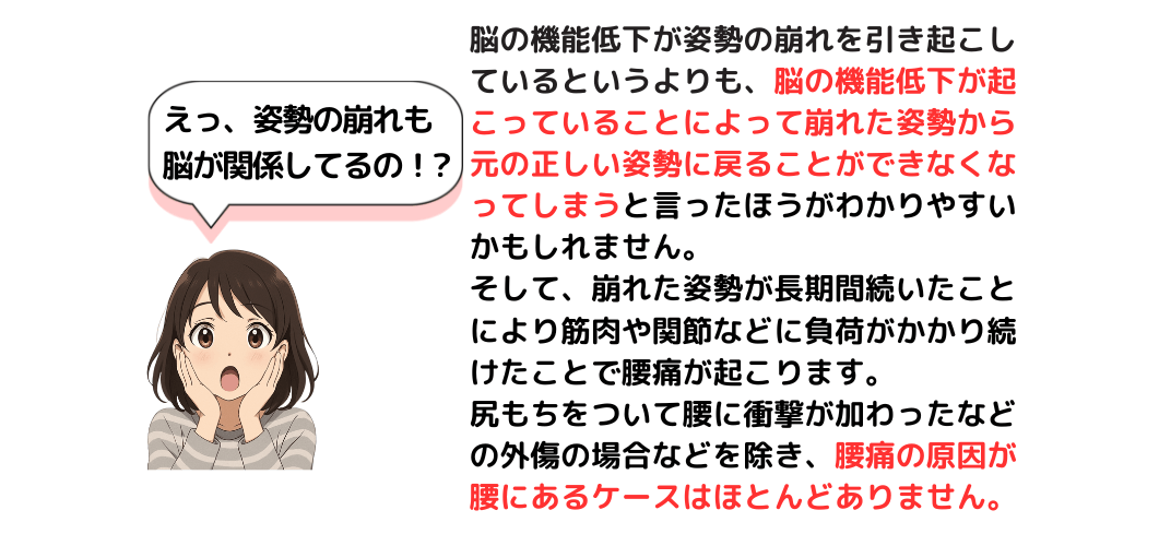 姿勢の崩れも脳の機能低下が原因